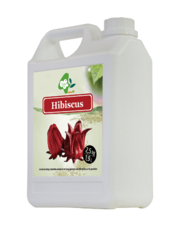 BOBOQ sirup Ibištek